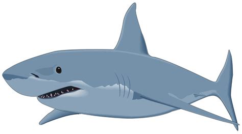 clip art shark|free shark clip art images.